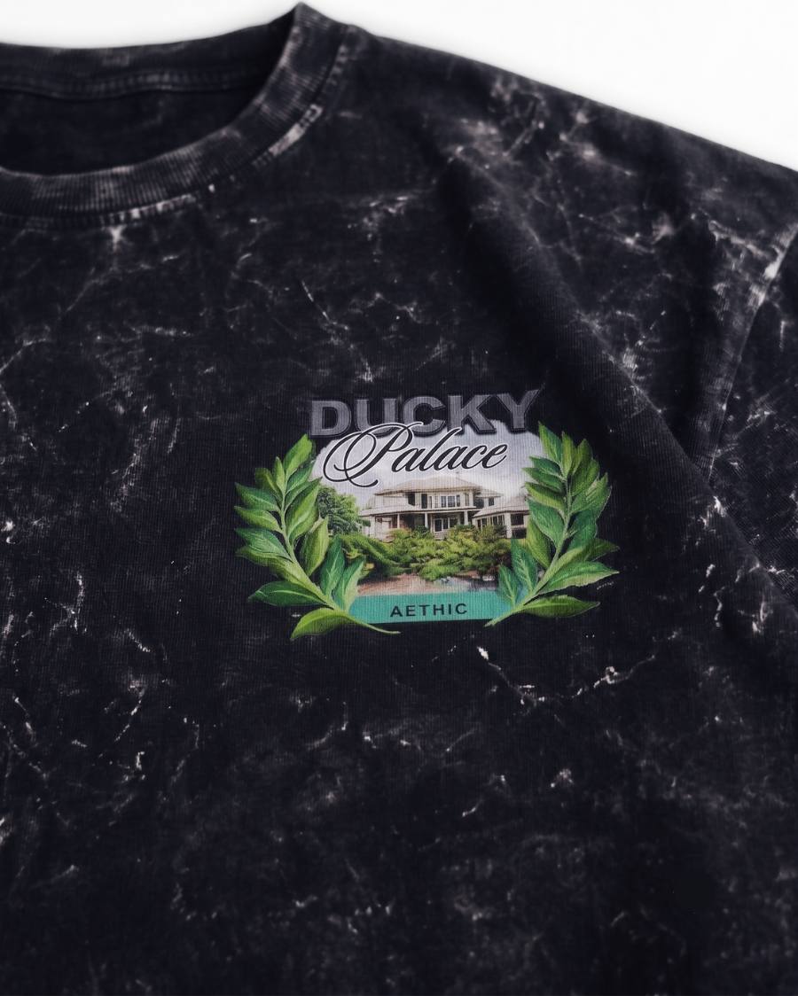 Close-up of Ducky Palace chest graphic on black acid wash oversized t-shirt by AETHIC